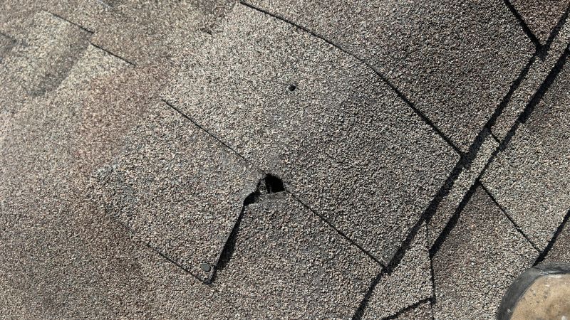 Common Causes Of Asphalt Damage In Commercial Parking Lots